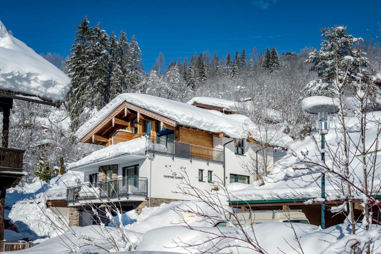 Gasteg Living Daire Maria Alm am Steinernen Meer Dış mekan fotoğraf