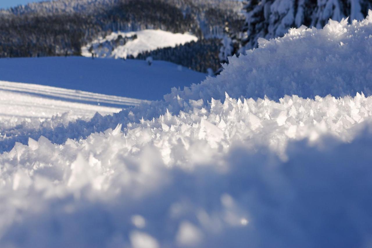 Gasteg Living Daire Maria Alm am Steinernen Meer Dış mekan fotoğraf