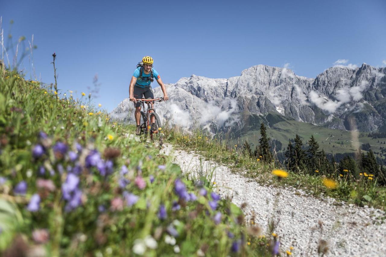 Gasteg Living Daire Maria Alm am Steinernen Meer Dış mekan fotoğraf