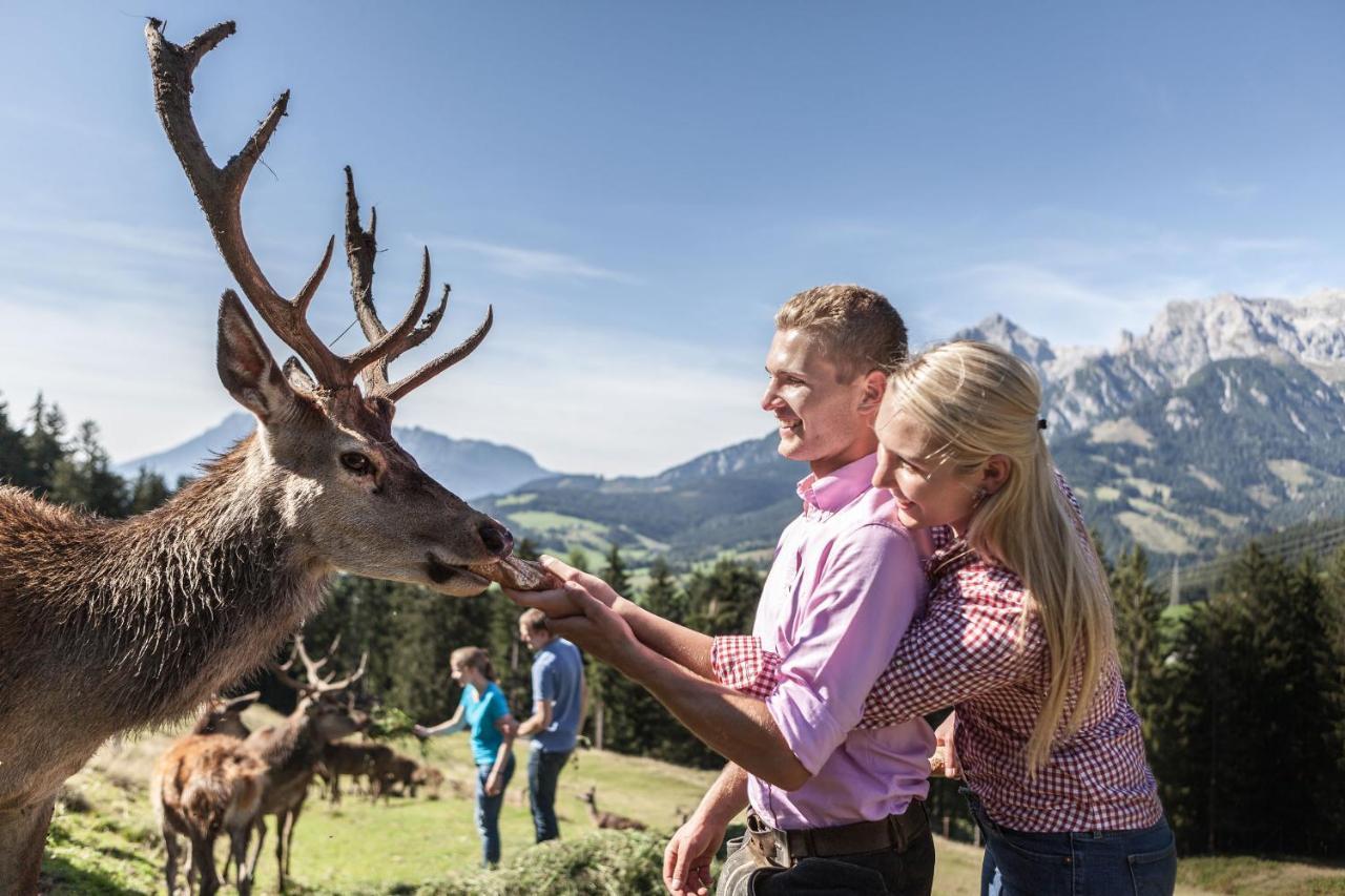 Gasteg Living Daire Maria Alm am Steinernen Meer Dış mekan fotoğraf